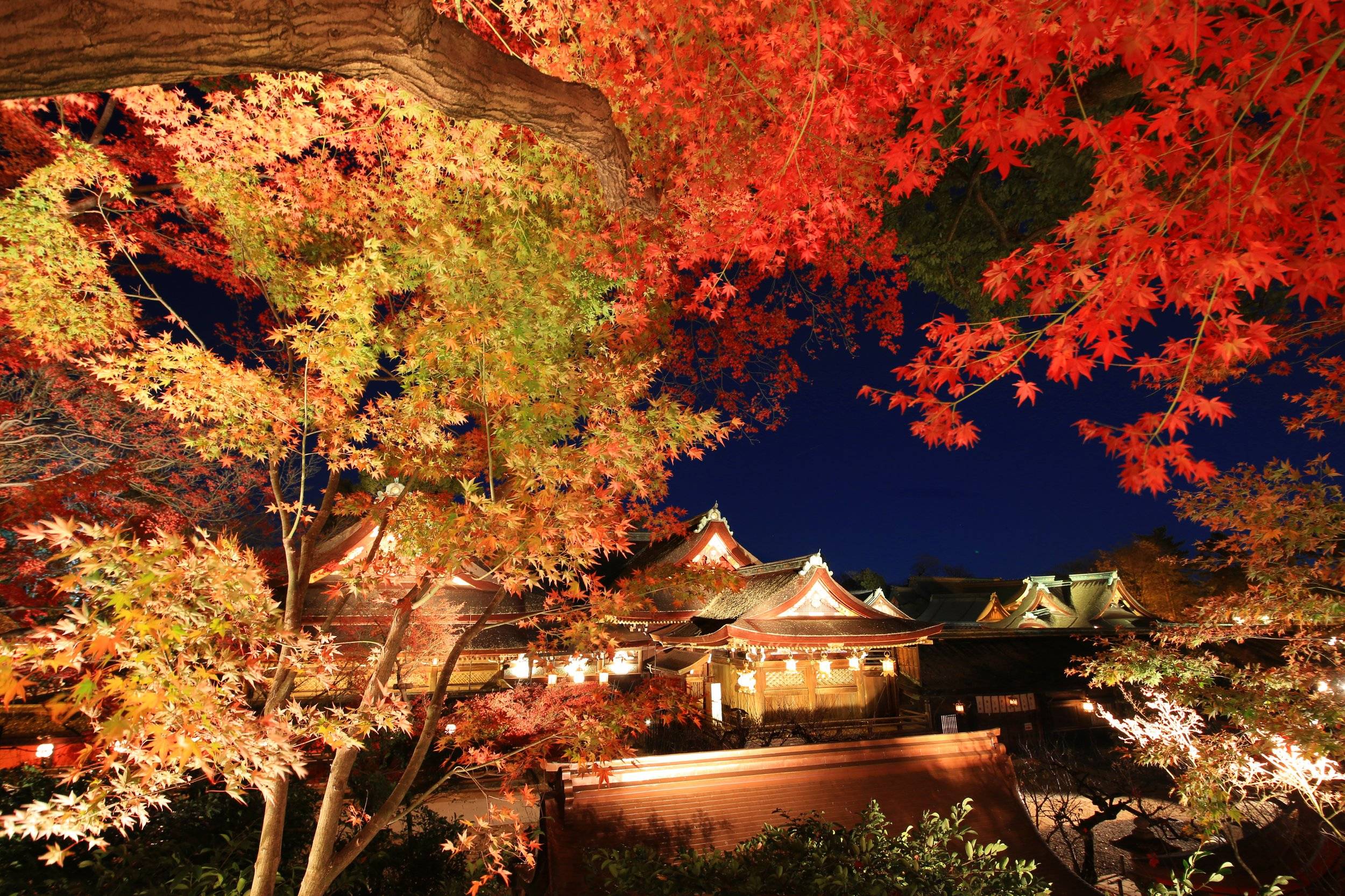 ⛩️ 카타노 신사 (카타노 진자) 이미지 13